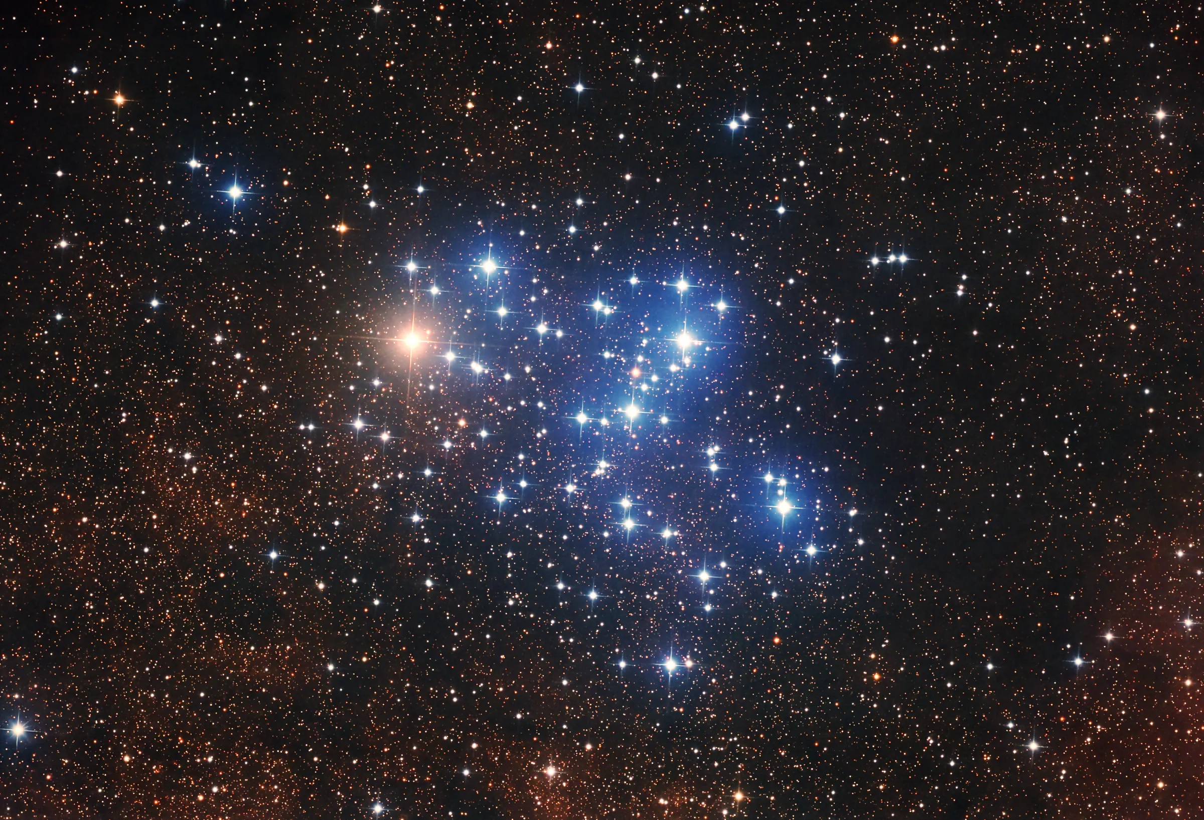 ヘッダーイメージ